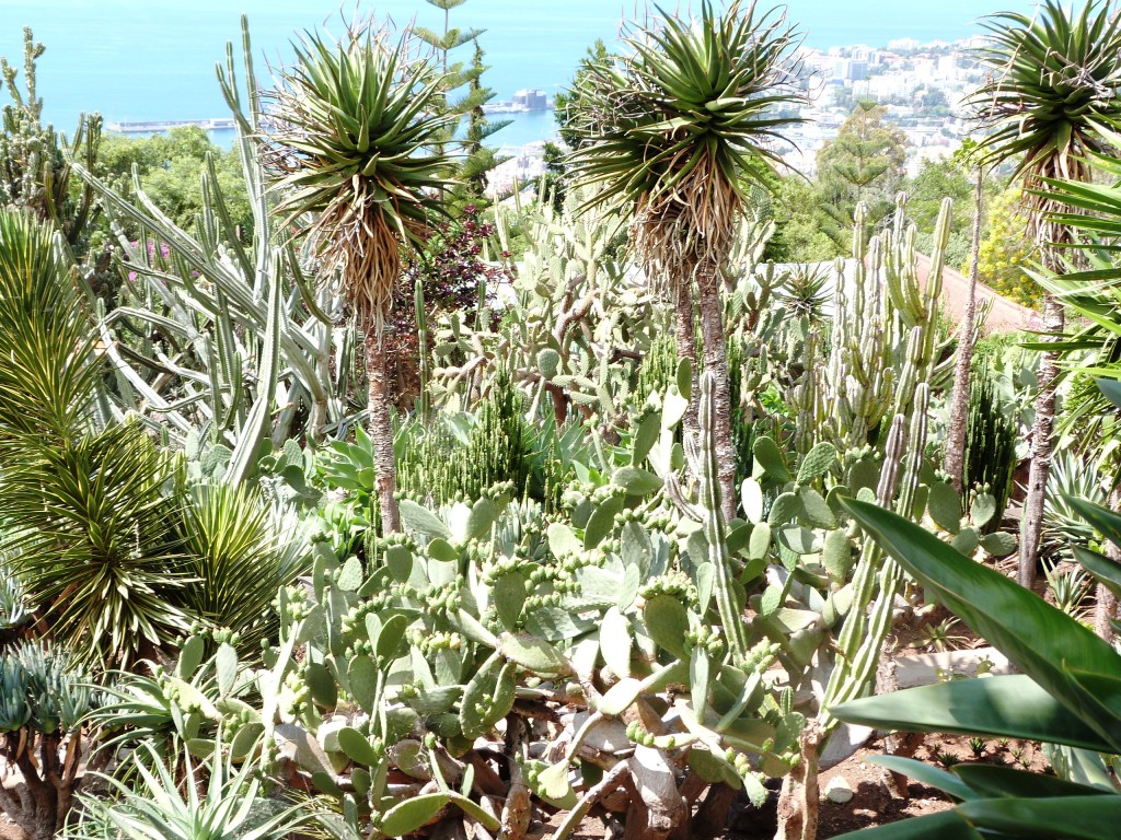 P1160239