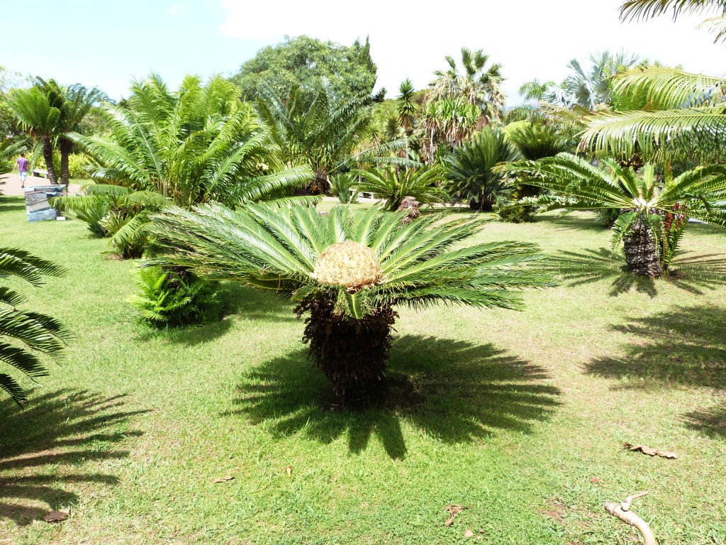 P1160265