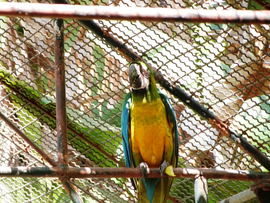 P1160271