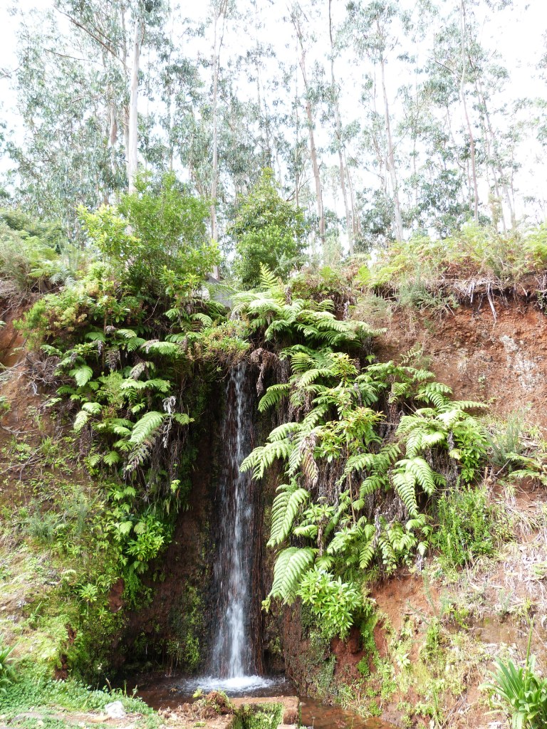 P1160459