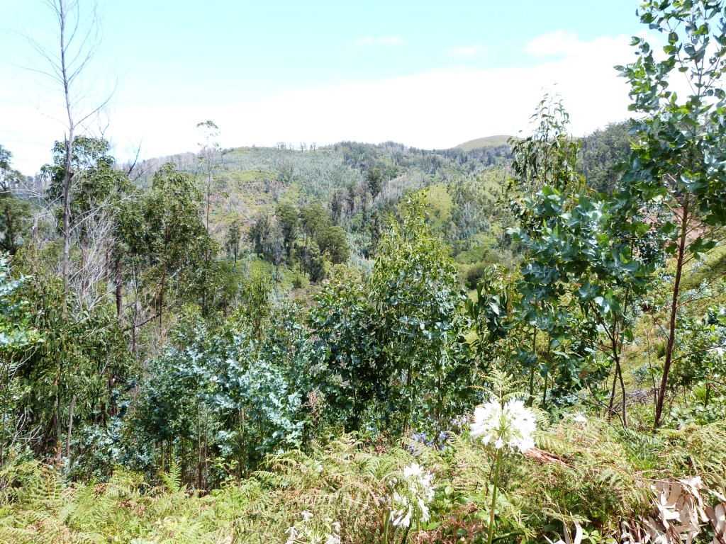 P1160524