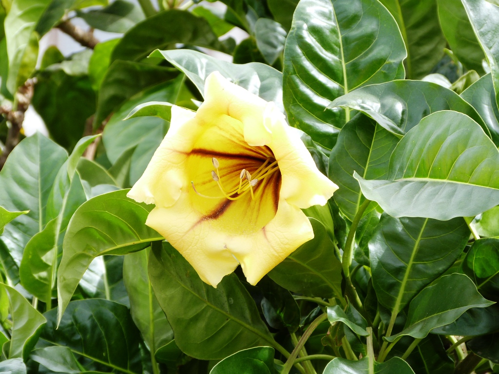 P1170094