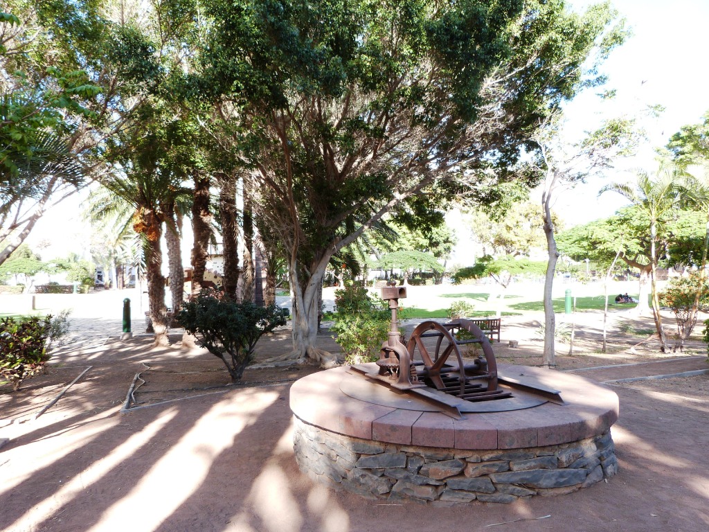 P1170453