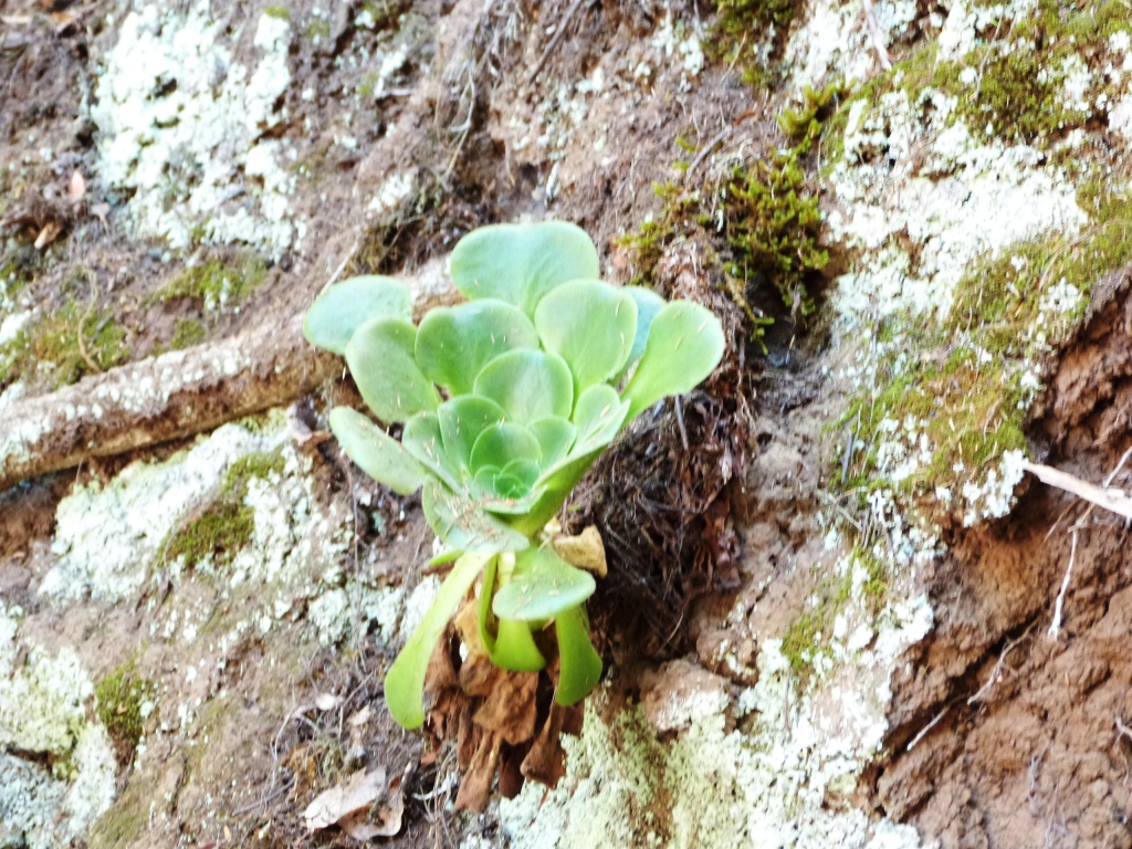 P1170581