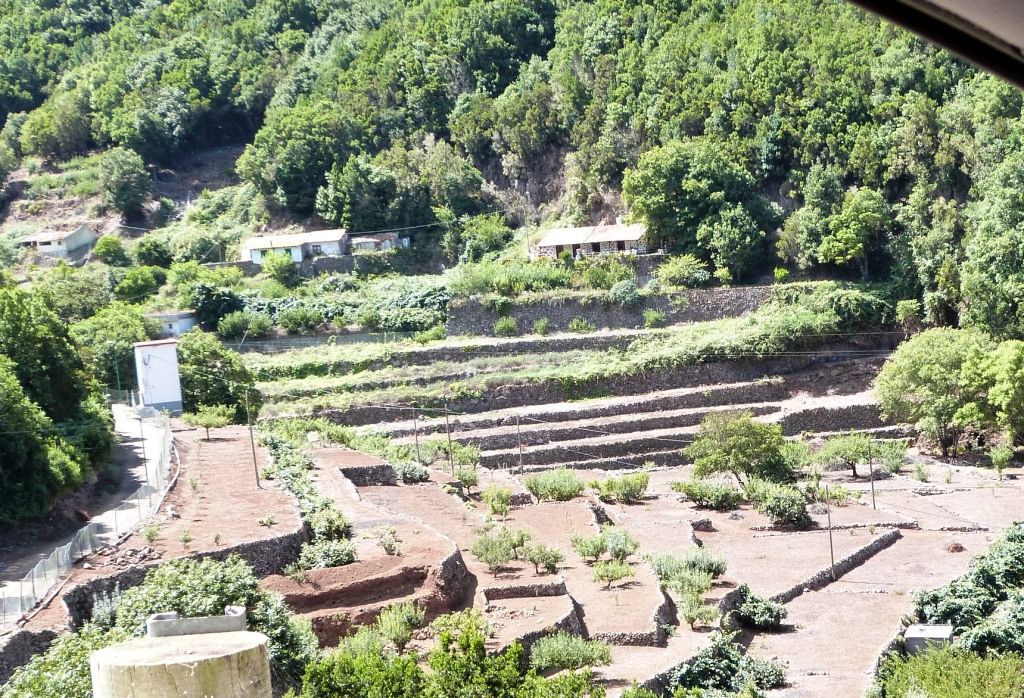 P1170587