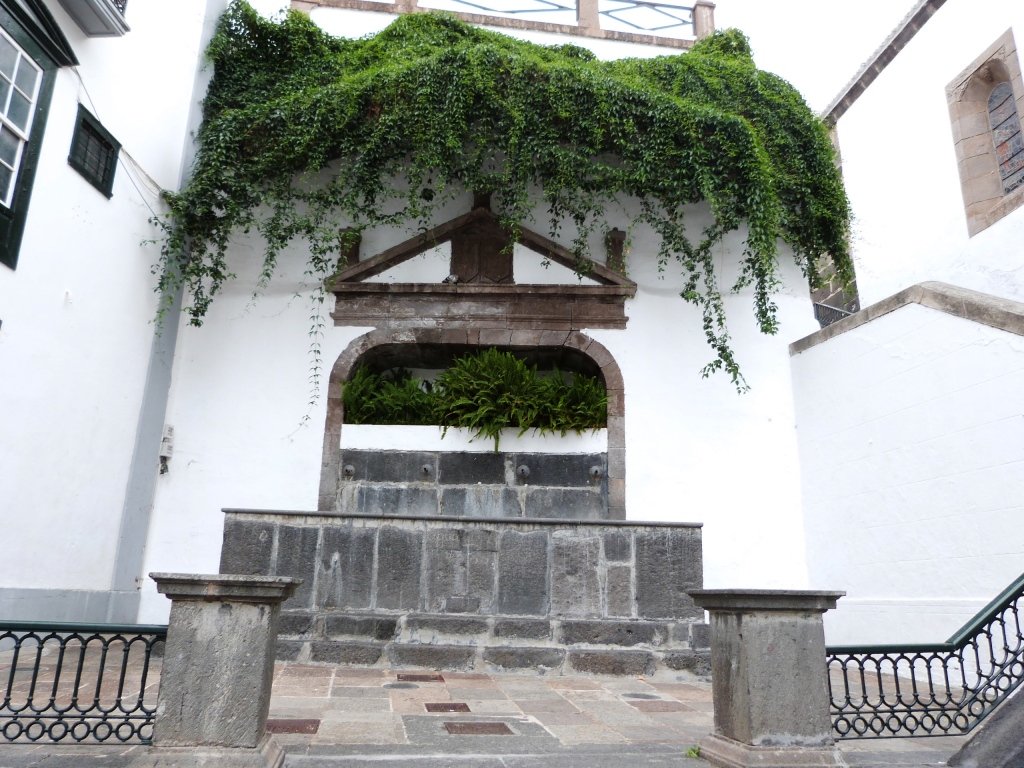 P1170705