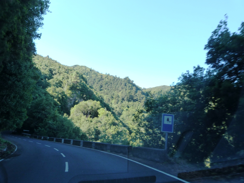 P1170802