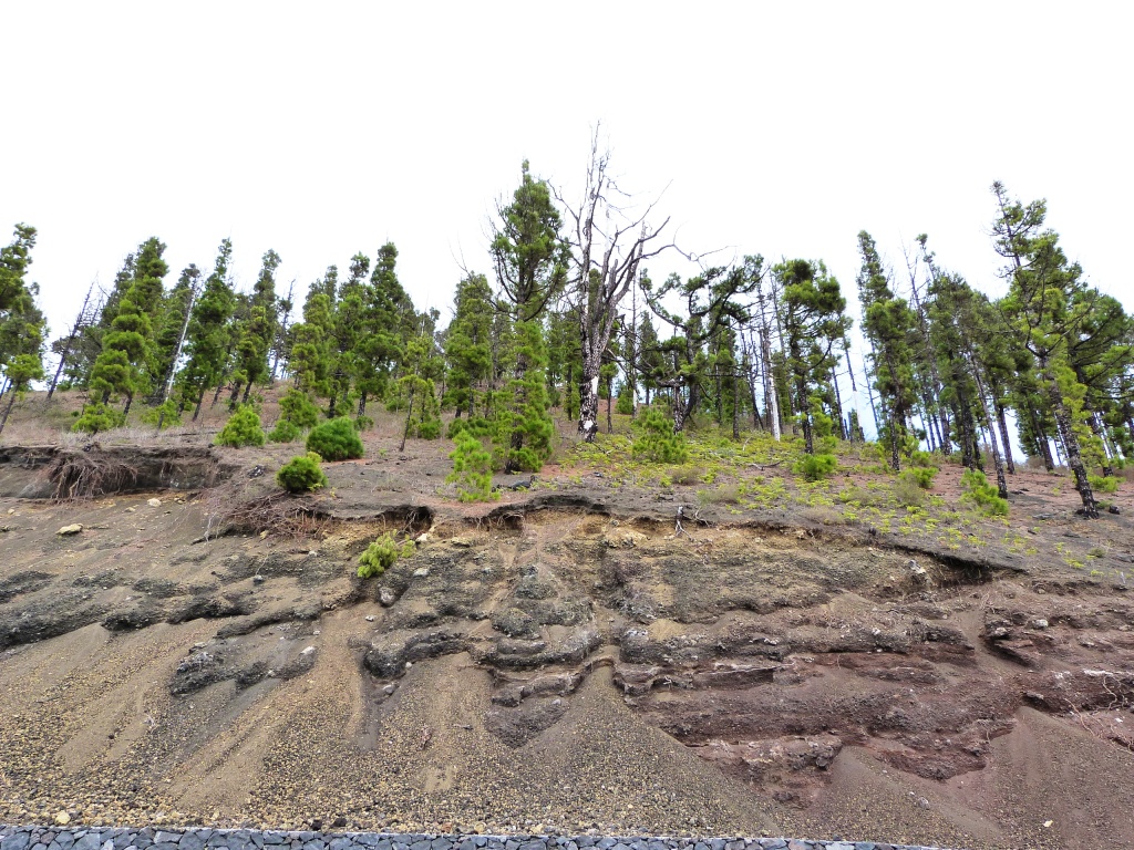 P1170913