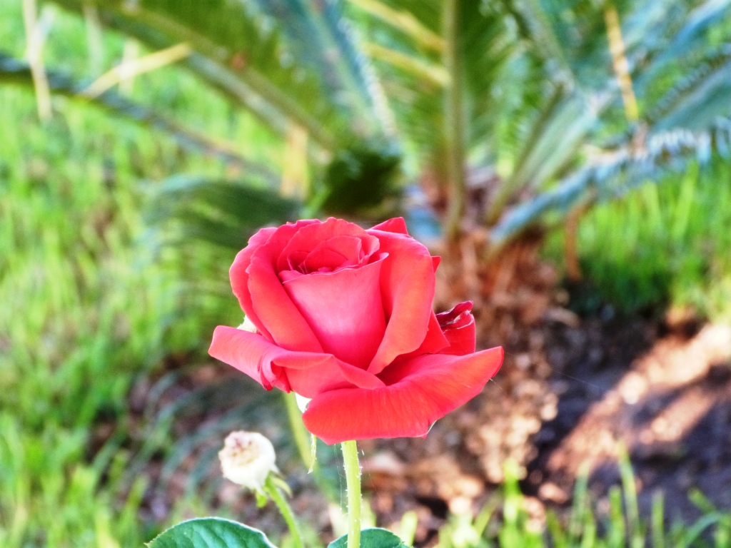 P1180853