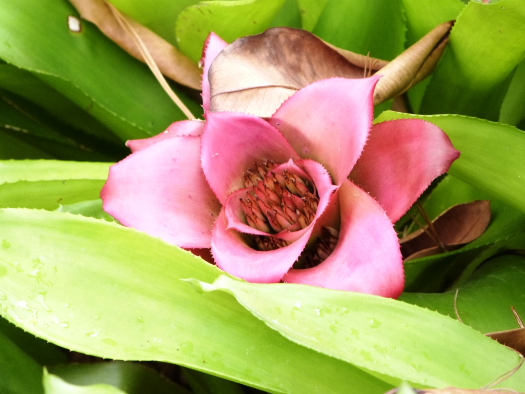 P1190021