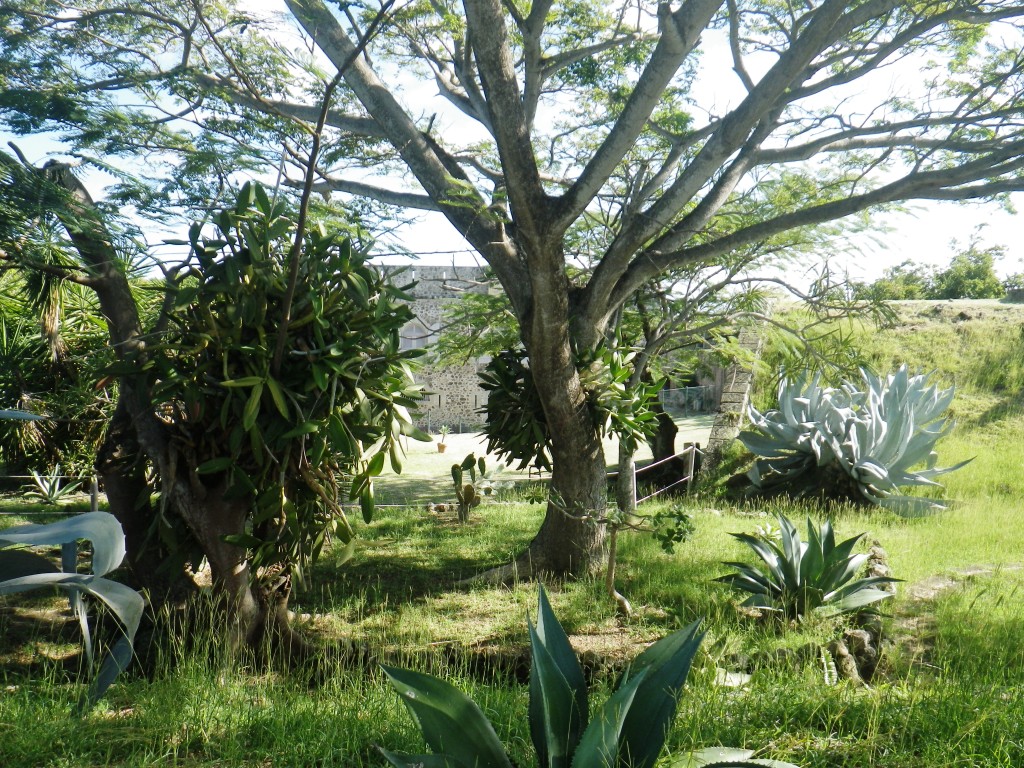 RIMG0105
