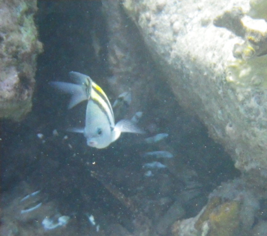 RIMG0253