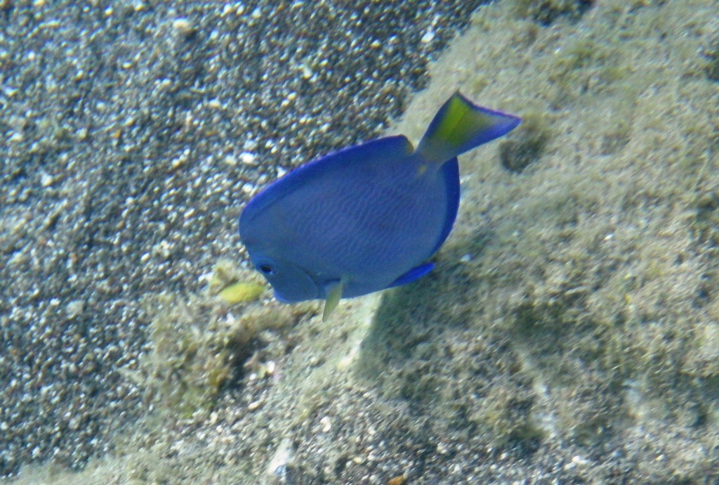 RIMG0263