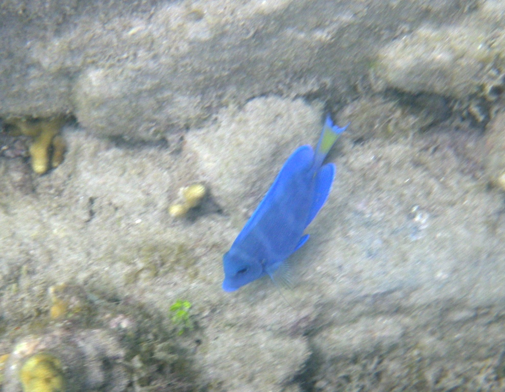 RIMG0444