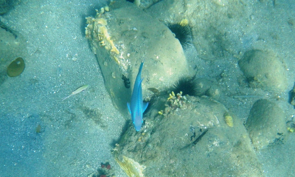 RIMG0632