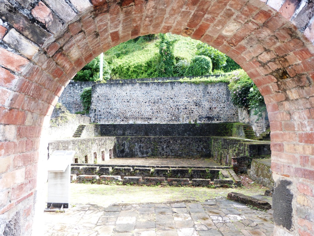 P1190978