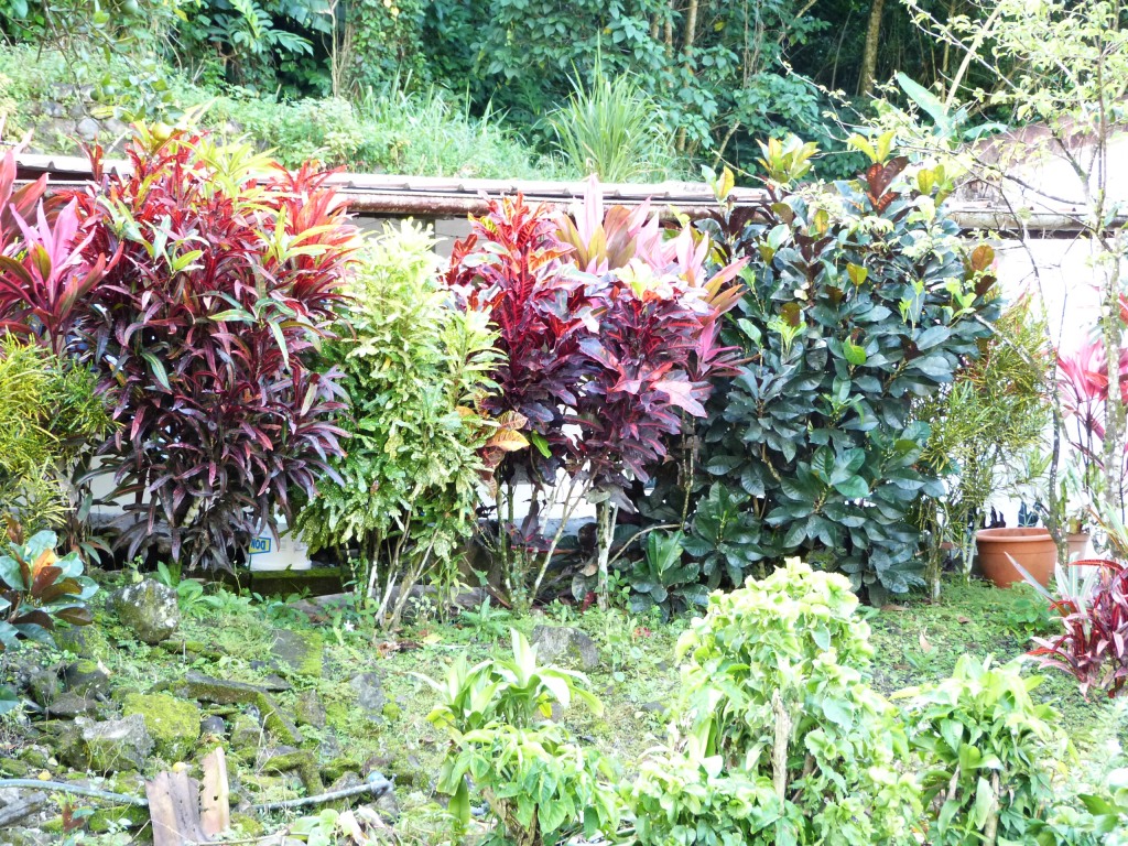 P1200004