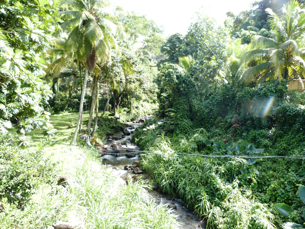 P1200006