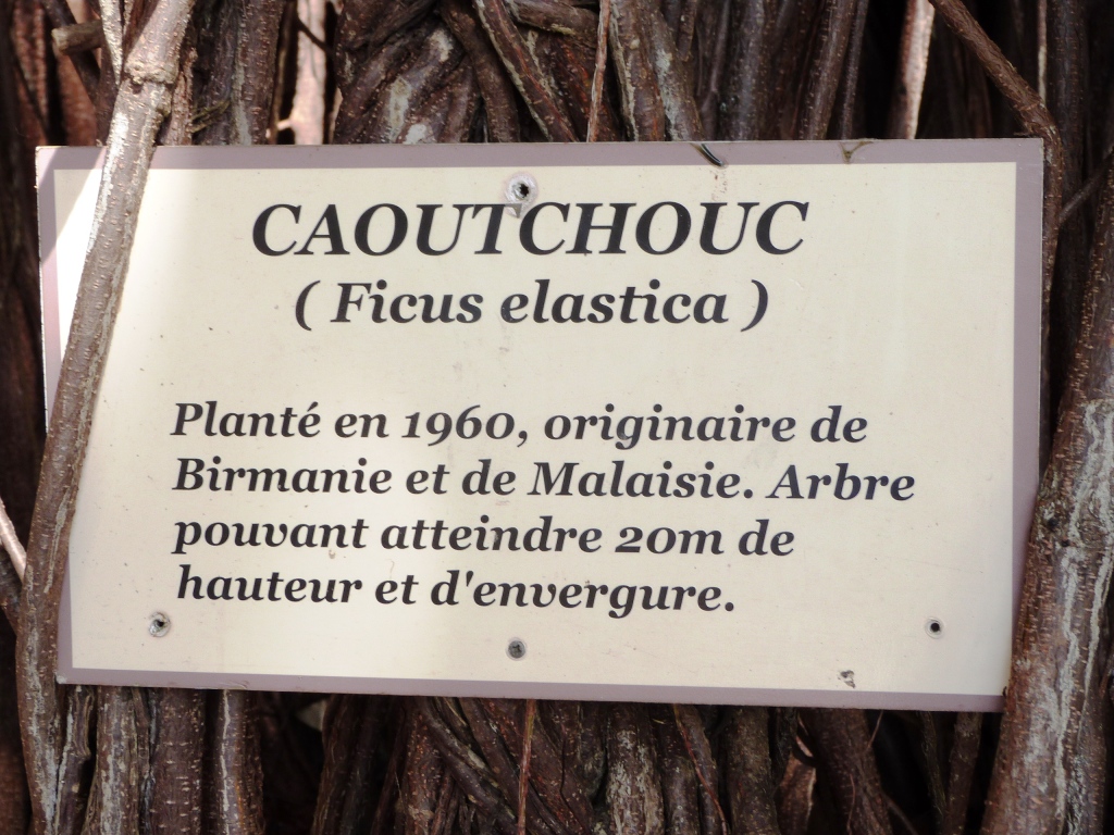 P1200050