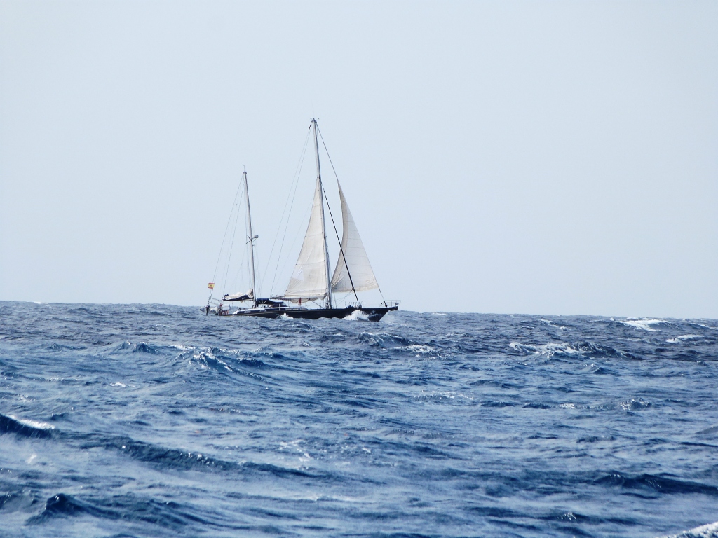 P1200454