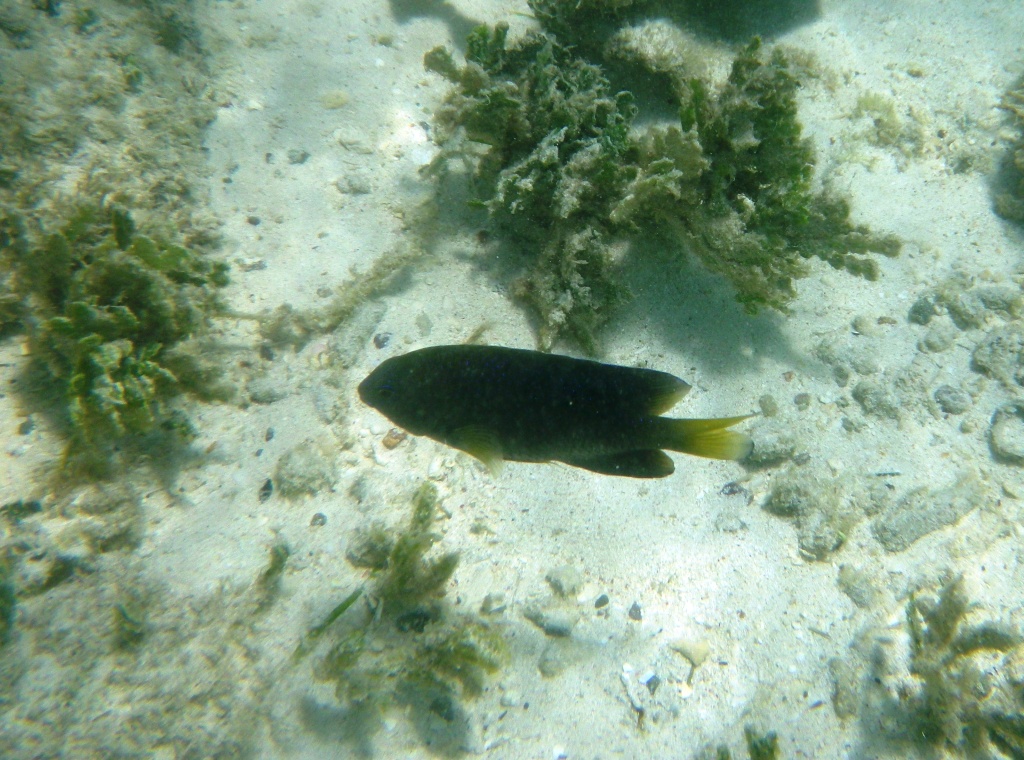 RIMG0748