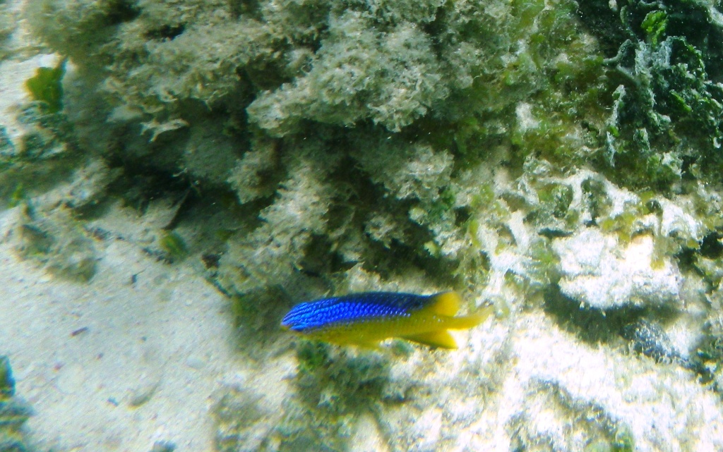 RIMG0751