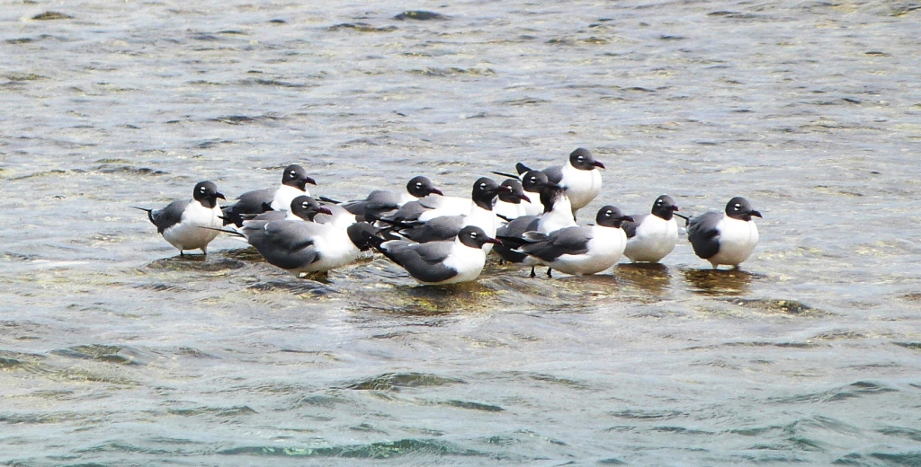 P1200984