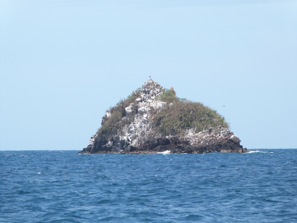 P1210018