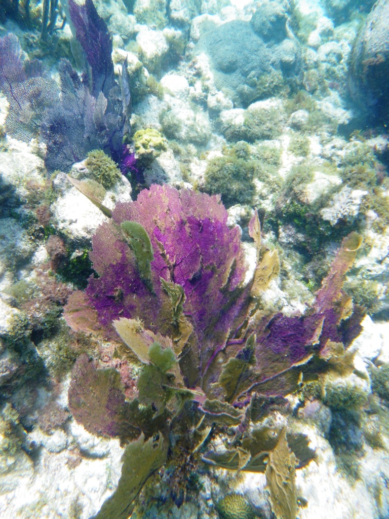 RIMG0846