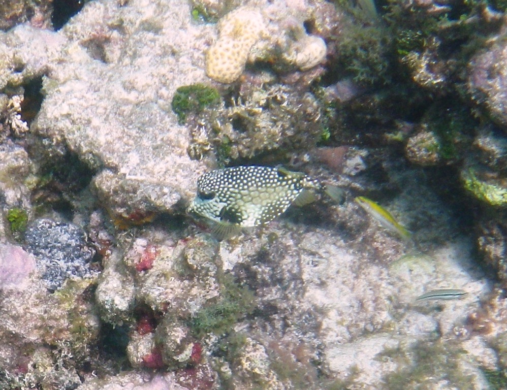 RIMG0848