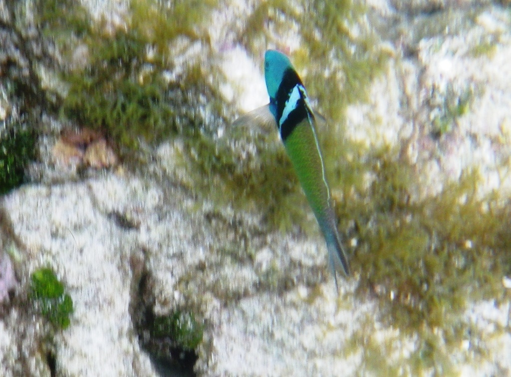 RIMG0866