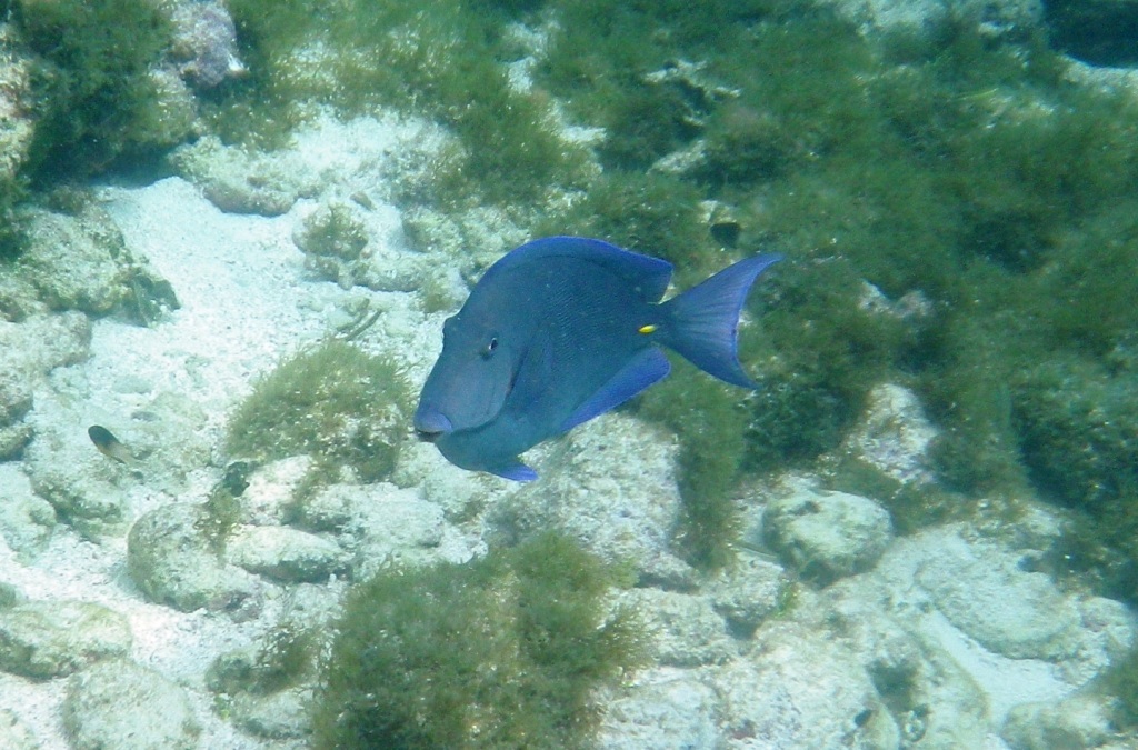 RIMG0886