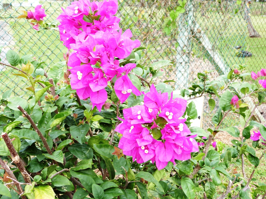 P1210164