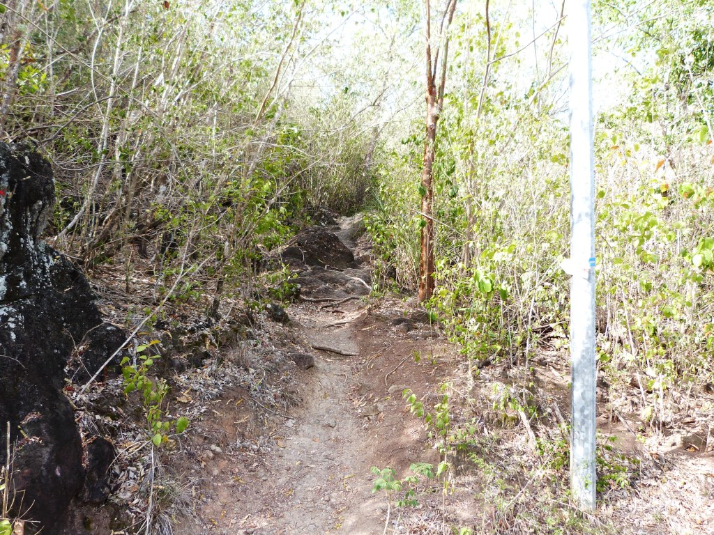 P1210194