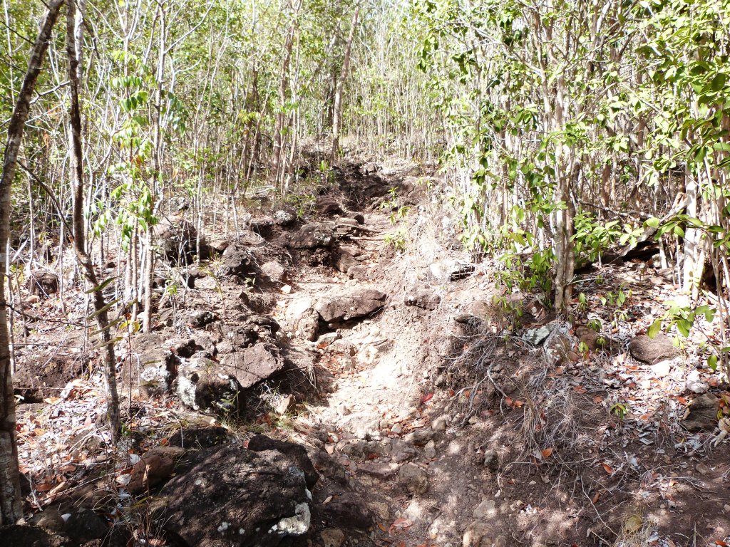 P1210196