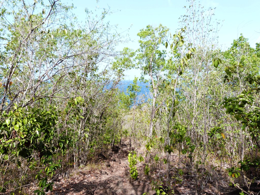 P1210197
