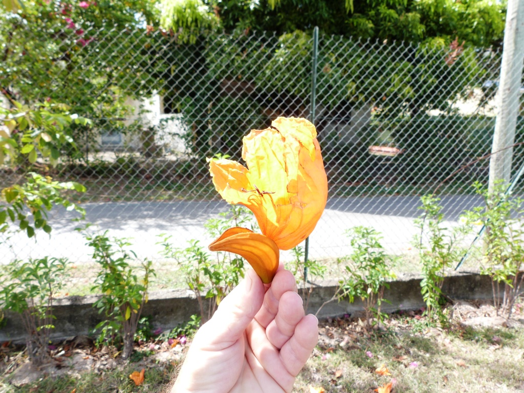 P1210236