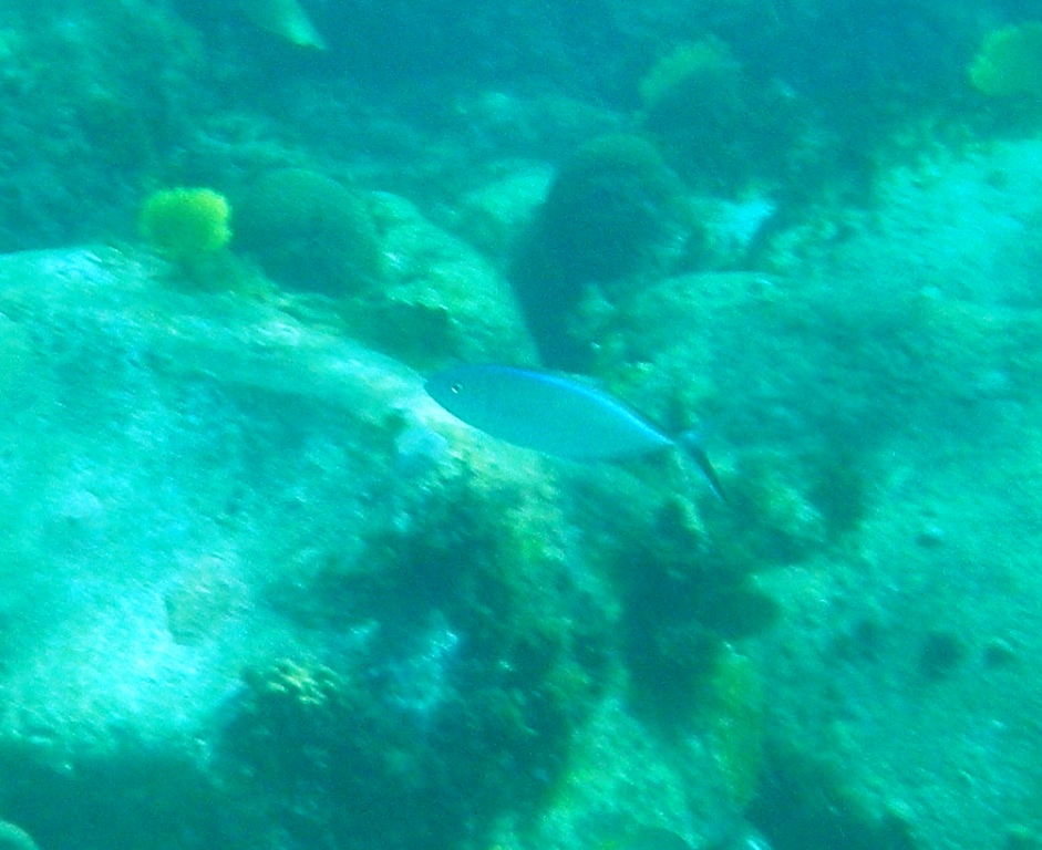 RIMG0988