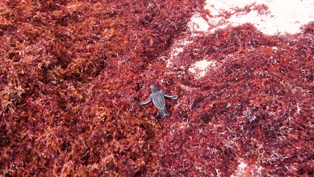P1210476