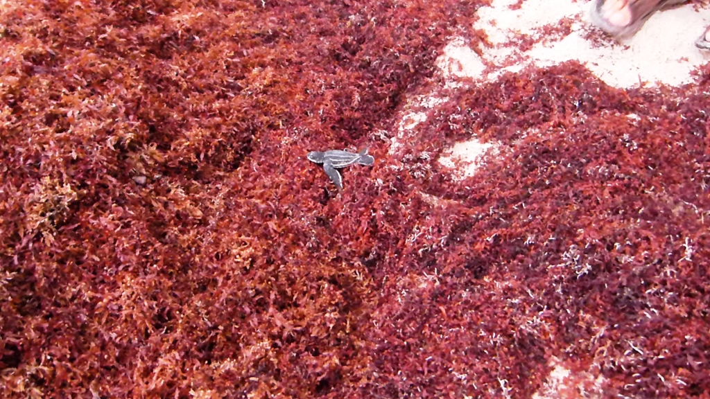P1210479