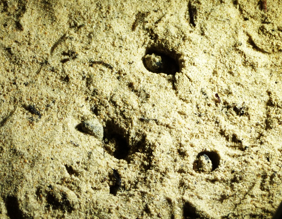 P1210485