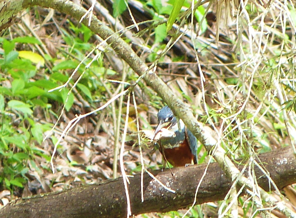 P1210564