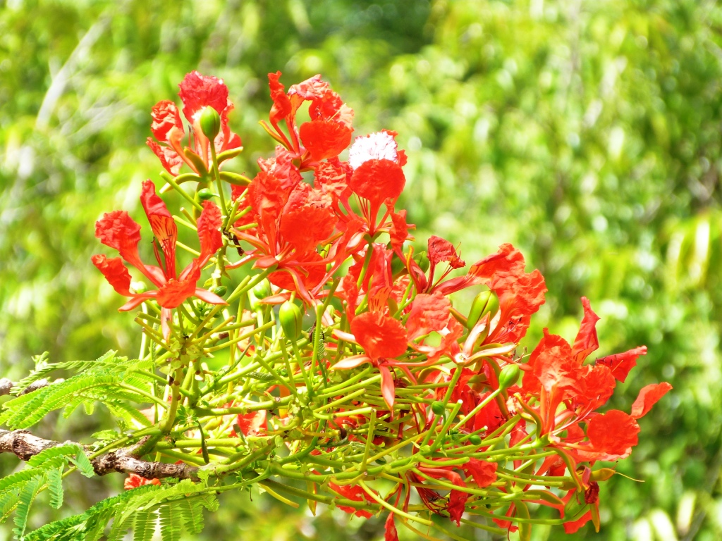 P1210624