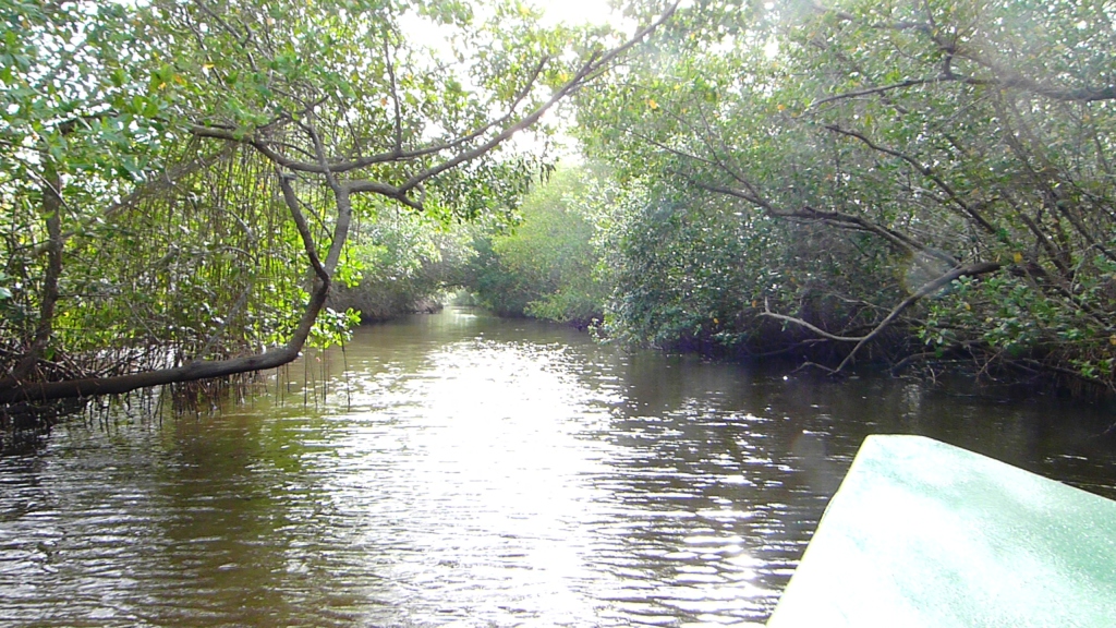 P1210647