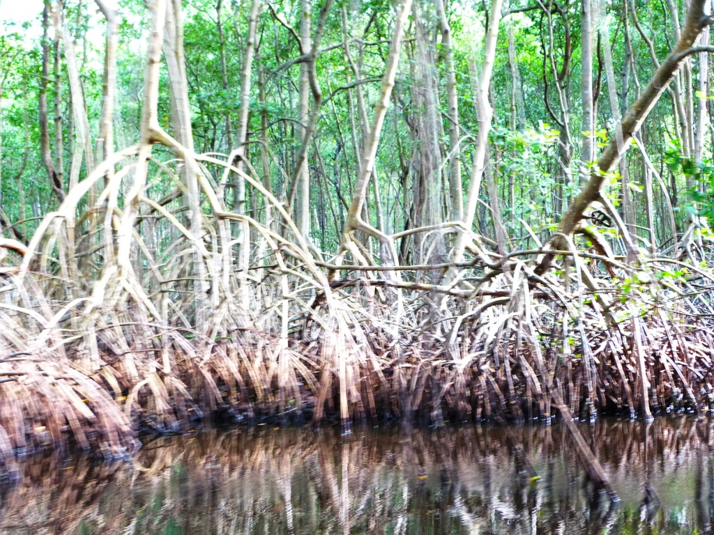 P1210656