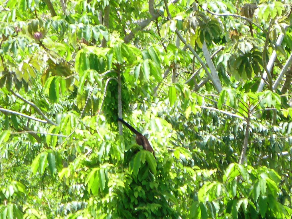 P1210952