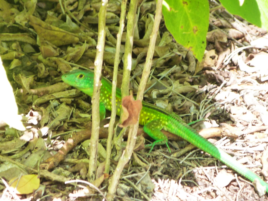 P1220048