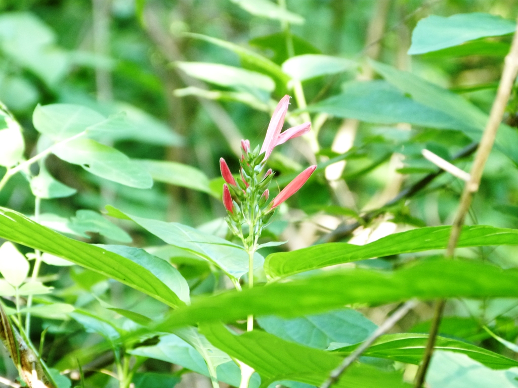 P1220244