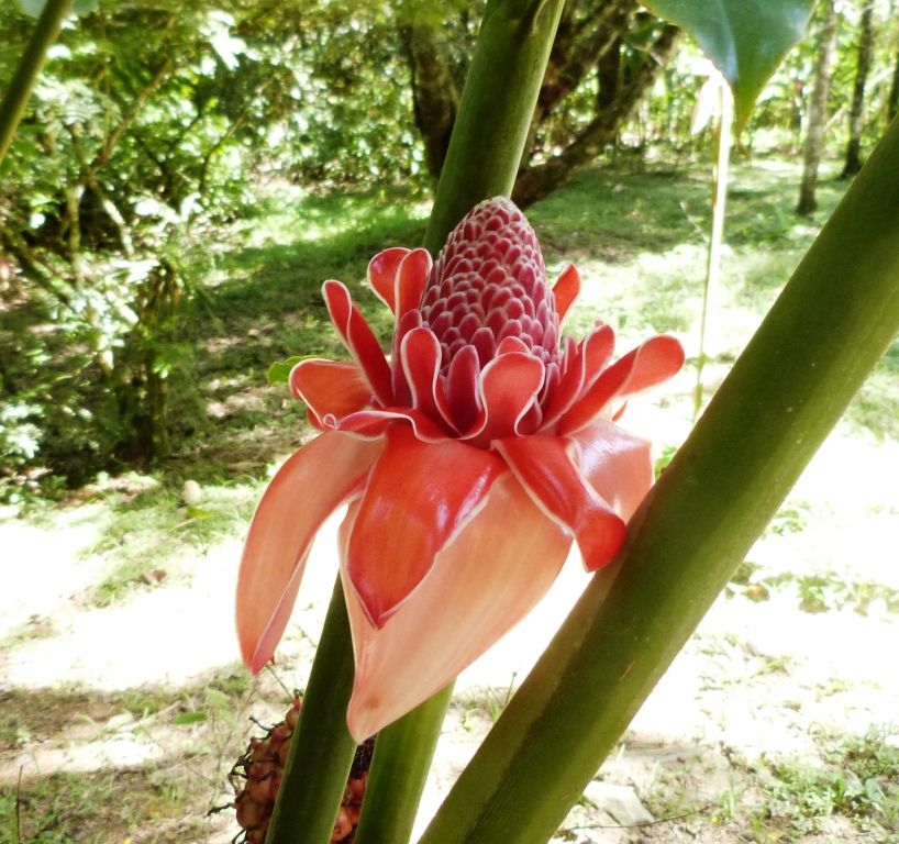 P1220766
