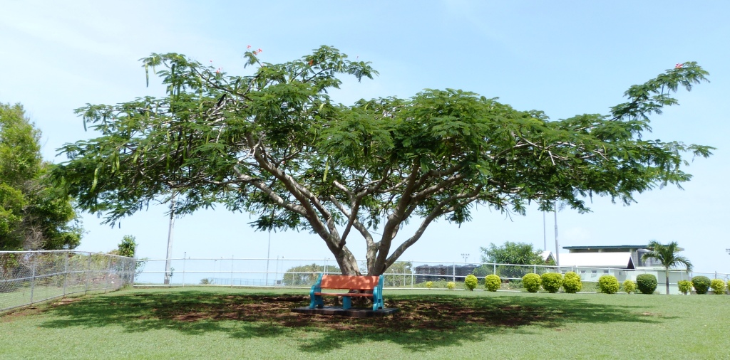 P1230099